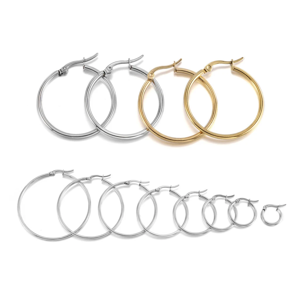 Stainless Steel Earring Hooks Set - 10pcs, 15-50mm